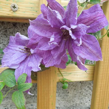 Chez Pauline, Gavray. House With Secure Parking, Wi-fi & Garage. * Gavray-sur-Sienne