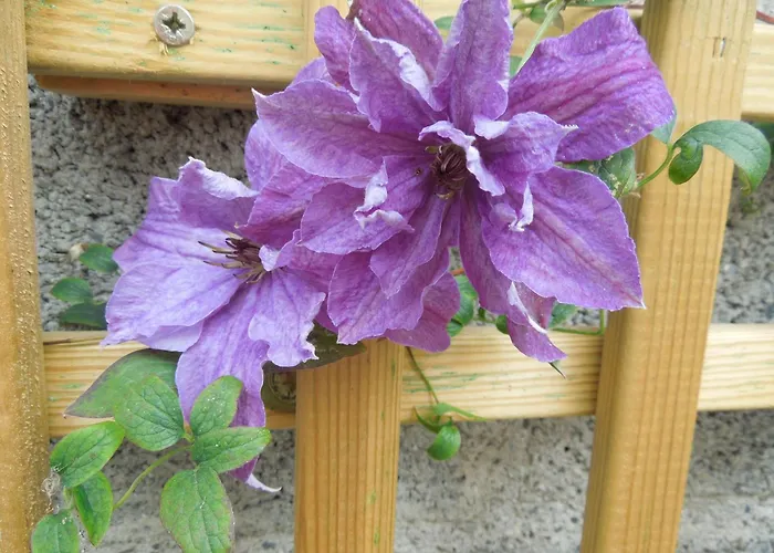 Chez Pauline, Gavray. House With Secure Parking, Wi-fi & Garage. * Gavray-sur-Sienne